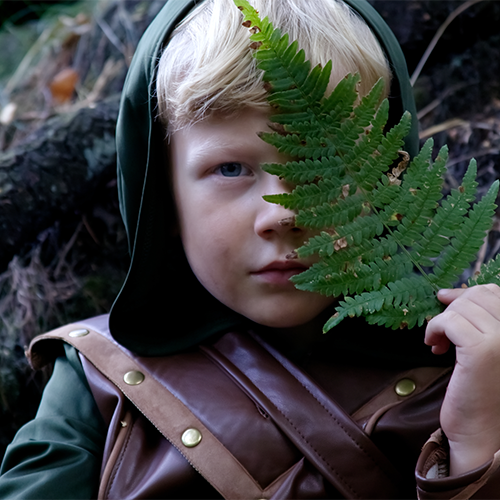 Theater – Robin Hood